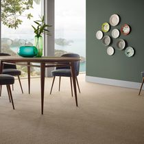 Tufted carpet / loop pile / wool / roll