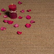 Woven rug / contemporary / plain / vegetal...