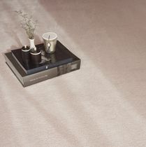Tufted carpet / polyester / velvet / tertiary