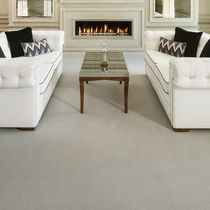 Tufted carpet / nylon / wool / home