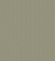 Tufted carpet / wool / home