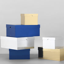 Cardboard storage box