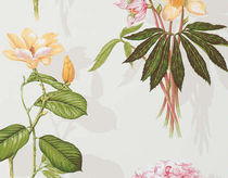 Traditional wallpaper / floral