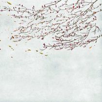 Contemporary wallpaper / vinyl / nature...