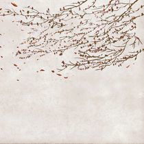 Contemporary wallpaper / vinyl / nature...