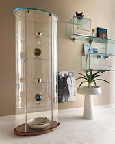 Contemporary display case / glass / wooden...