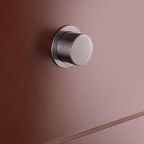 Toilet flush button