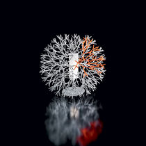 Table lamp / steel / polycarbonate / ABS