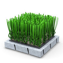Synthetic grass / roll / for athletic fields