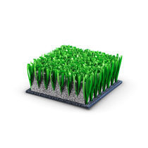 Synthetic grass / roll / for athletic fields...