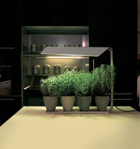 Table lamp / steel / contemporary