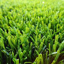 Synthetic grass / roll / for athletic fields