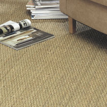 Loop pile carpet / woven / natural fiber...