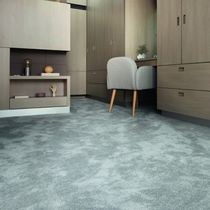 Tufted carpet / polyamide / velvet / tertiary