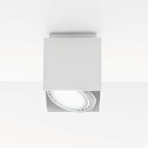 Surface mounted downlight / LED / halogen...