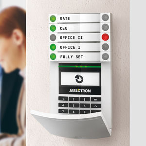 anti-intrusion alarm