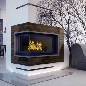 wood-burning fireplace insert / 2-sided