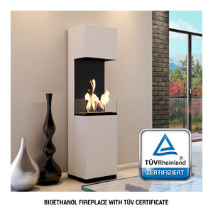 bioethanol fireplace