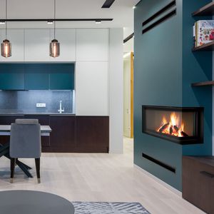 2-sided fireplace insert 1