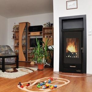 wood boiler stove