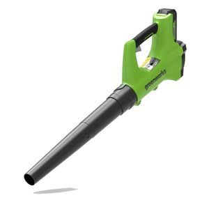 walk-behind leaf blower