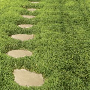 stepping stone