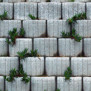 concrete plant pot