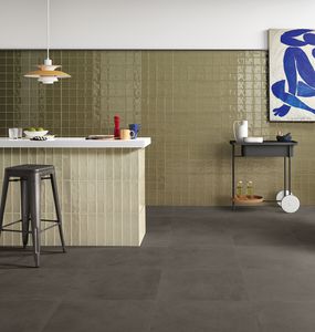 indoor tile / wall / glazed ceramic / 20x40 cm