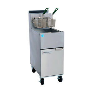 gas fryer