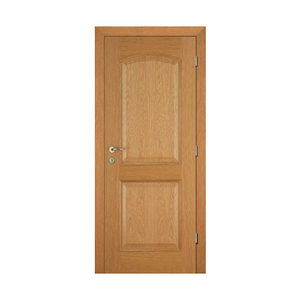 interior door 1