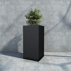 iron plant pot