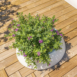 high-density polyethylene (HDPE) planter
