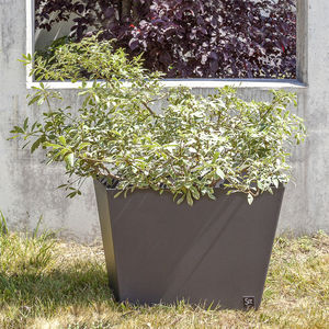 iron planter