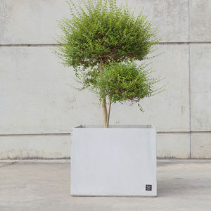 concrete planter / square / contemporary / for public spaces