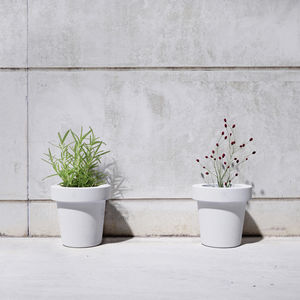 concrete planter