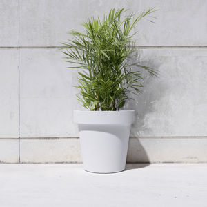concrete planter