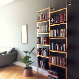 wall-mounted shelves