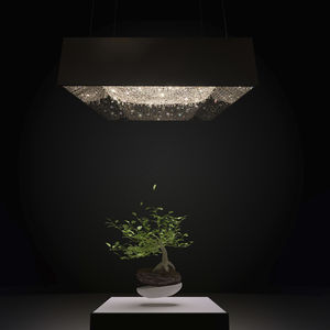 contemporary chandelier / crystal / oak / walnut