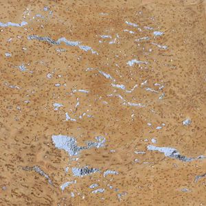 interior wall-covering 1