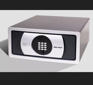 electronic safe 1