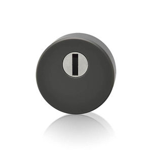 brass escutcheon