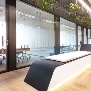 removable partition