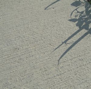 floor form liner