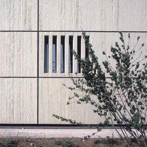wall form liner