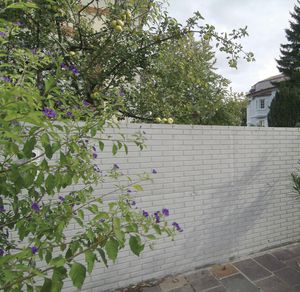 enclosure wall form liner