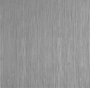 wall form liner