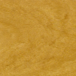 solid parquet floor