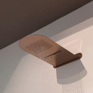 wall-mounted shower head 1