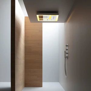 recessed ceiling shower head 1