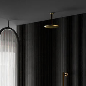 ceiling shower head arm 1